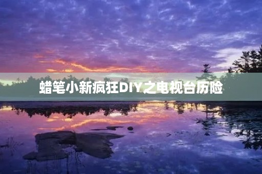 蜡笔小新疯狂DIY之电视台历险
