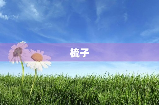 梳子