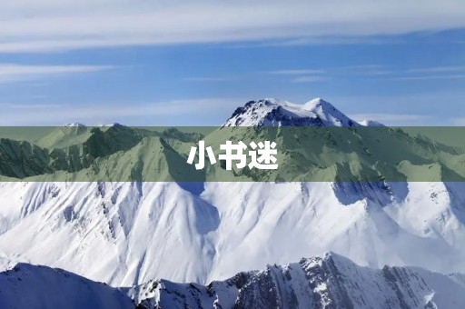 小书迷 小书迷