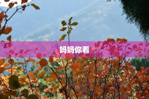 妈妈你看 妈妈你看