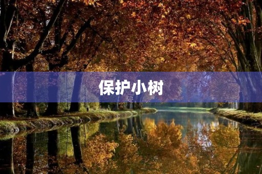 保护小树