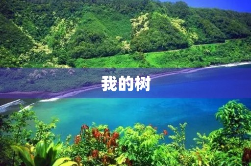 我的树 我的树