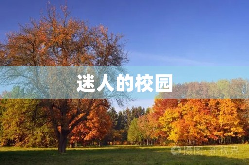 迷人的校园 迷人的校园