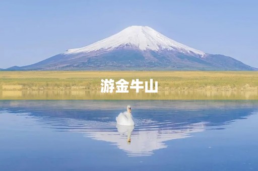 游金牛山