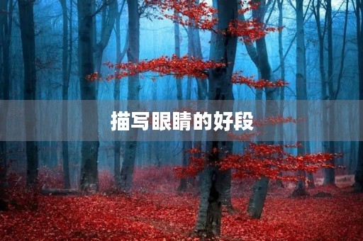 描写眼睛的好段