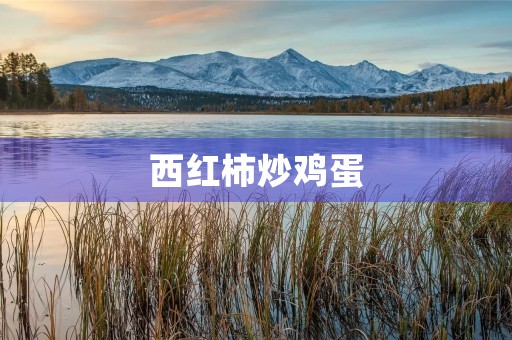 西红柿炒鸡蛋 西红柿炒鸡蛋
