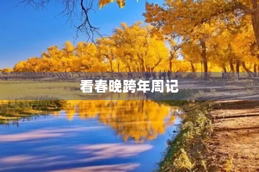 看春晚跨年周记