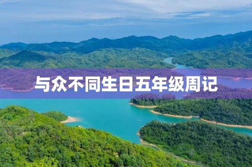 与众不同生日五年级周记