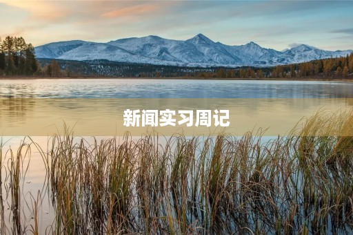 新闻实习周记