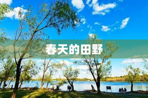 春天的田野