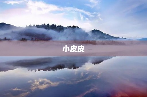小皮皮