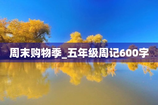 周末购物季_五年级周记600字 周末购物季_五年级周记600字