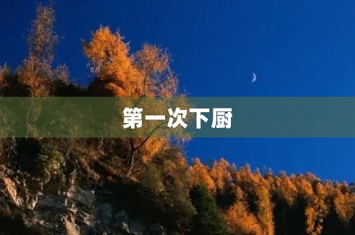 第一次下厨