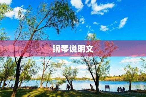 钢琴说明文 钢琴说明文