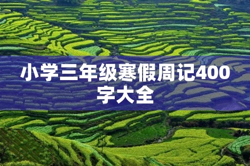小学三年级寒假周记400字大全 小学三年级寒假周记400字大全