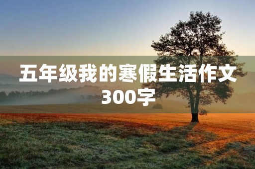 五年级我的寒假生活作文300字