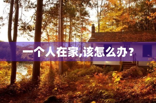 一个人在家,该怎么办? 一个人在家,该怎么办?