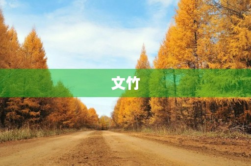 文竹