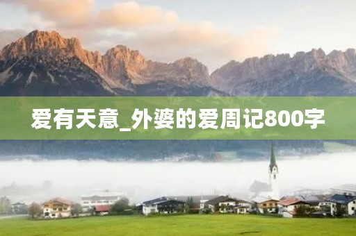 爱有天意_外婆的爱周记800字 爱有天意_外婆的爱周记800字