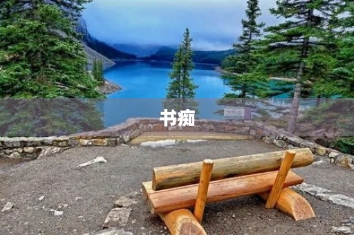 书痴 书痴
