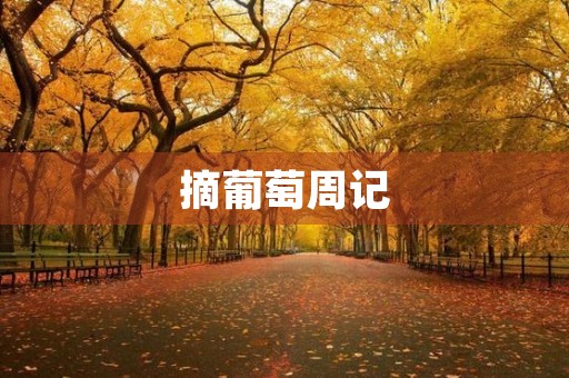 摘葡萄周记