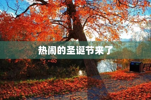 热闹的圣诞节来了 热闹的圣诞节来了