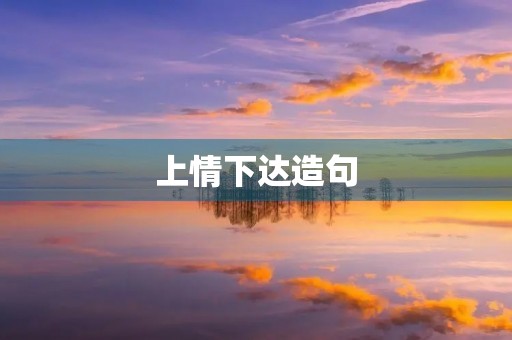 上情下达造句 上情下达造句