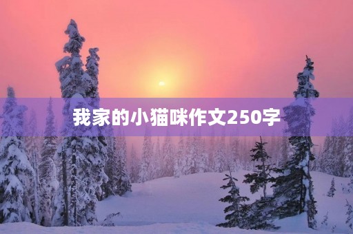 我家的小猫咪作文250字 我家的小猫咪作文250字