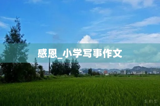 感恩_小学写事作文 感恩_小学写事作文
