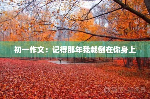 初一作文:记得那年我栽倒在你身上 初一作文:记得那年我栽倒在你身上