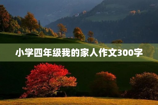 小学四年级我的家人作文300字 小学四年级我的家人作文300字