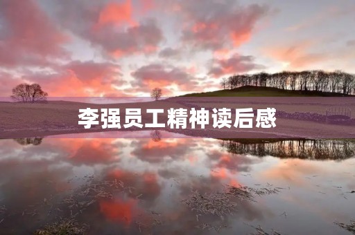 李强员工精神读后感