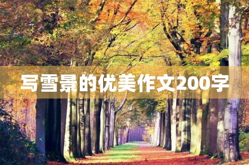 写雪景的优美作文200字 写雪景的优美作文200字