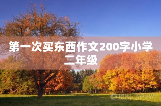 第一次买东西作文200字小学二年级 第一次买东西作文200字小学二年级