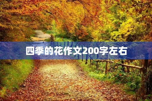 四季的花作文200字左右 四季的花作文200字左右