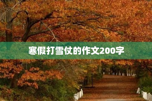 寒假打雪仗的作文200字 寒假打雪仗的作文200字