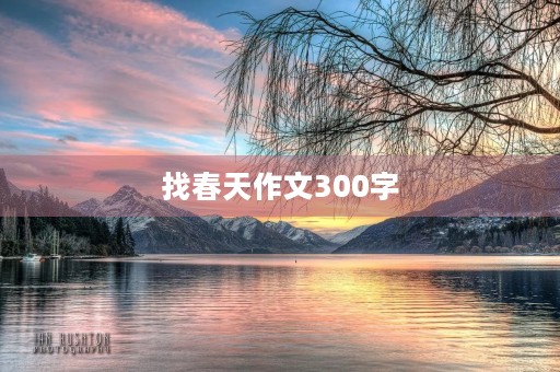 找春天作文300字 找春天作文300字