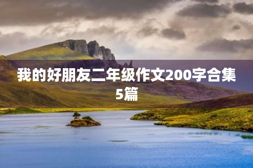 我的好朋友二年级作文200字合集5篇