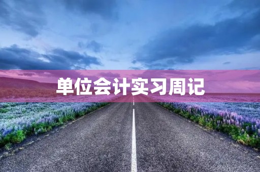 单位会计实习周记