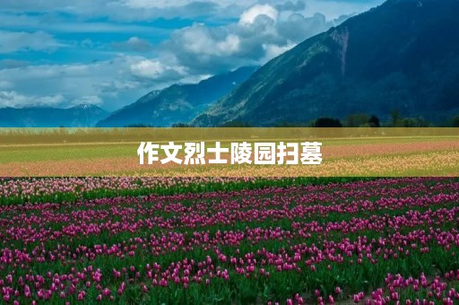 作文烈士陵园扫墓 作文烈士陵园扫墓