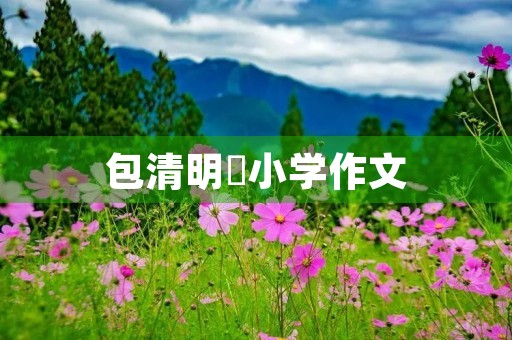 包清明馃小学作文 包清明馃小学作文
