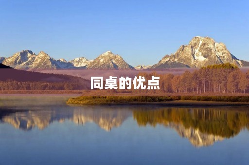 同桌的优点 同桌的优点