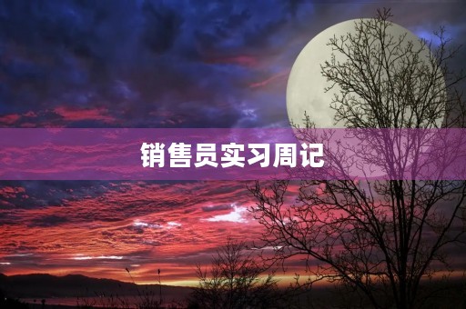销售员实习周记 销售员实习周记