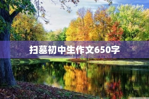 扫墓初中生作文650字 扫墓初中生作文650字