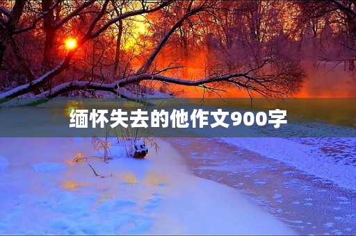 缅怀失去的他作文900字 缅怀失去的他作文900字
