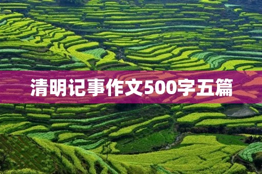 清明记事作文500字五篇