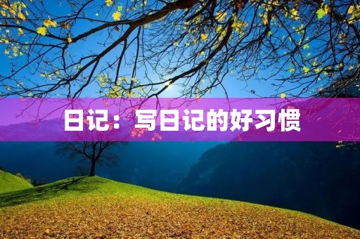日记:写日记的好习惯 日记:写日记的好习惯