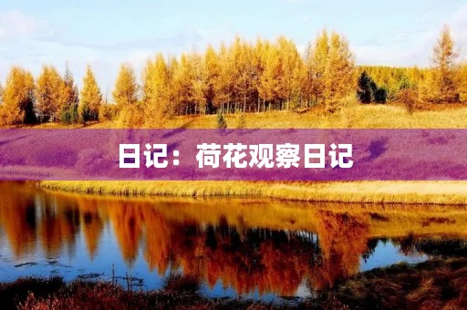日记:荷花观察日记 日记:荷花观察日记