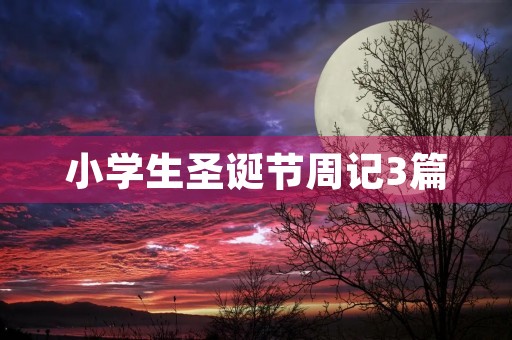小学生圣诞节周记3篇 小学生圣诞节周记3篇