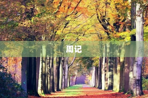 周记